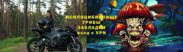 стафф Приозерск