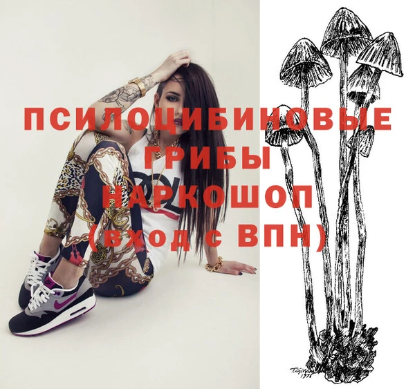 прущие крисы Новодвинск