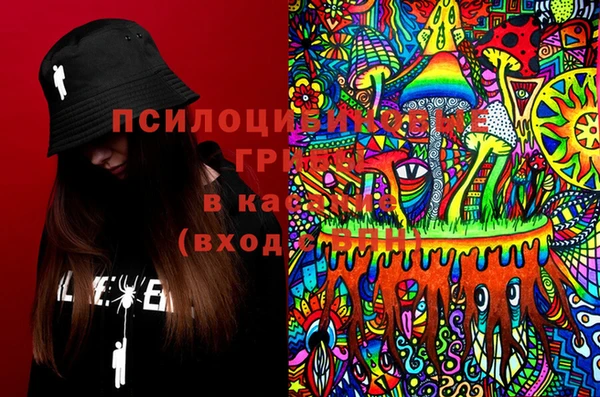 прущие крисы Новодвинск