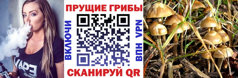 Галлюциногенные грибы MAGIC MUSHROOMS  Сорочинск 