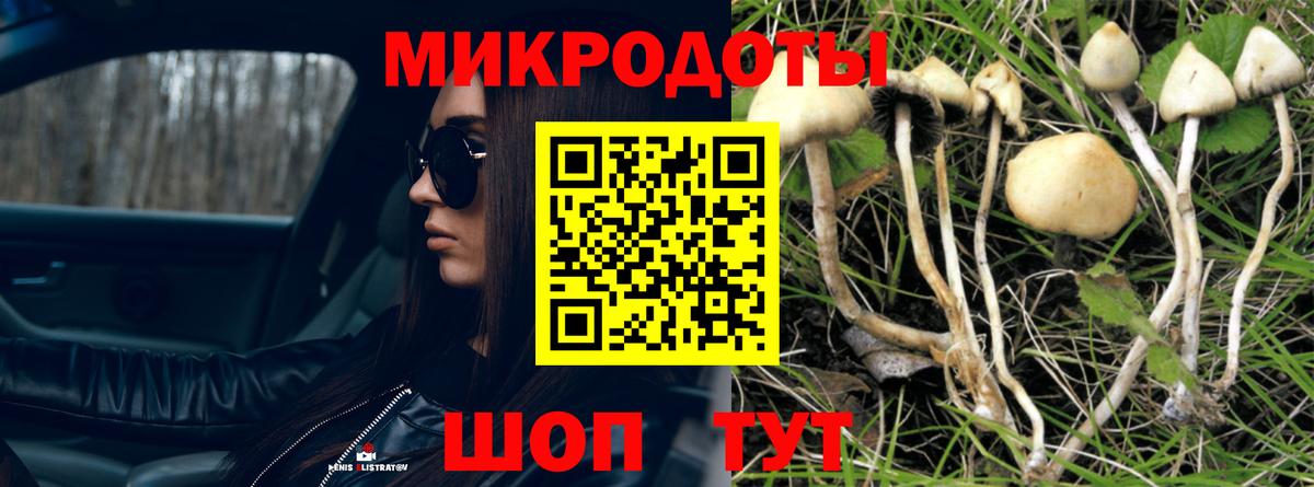 Псилоцибиновые грибы мухоморы  Вход с VPN  Сорочинск 